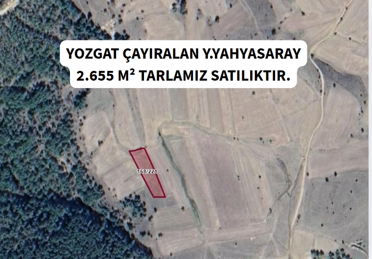 YOZGAT ÇAYIRALAN Y.YAHYASARAY KÖYÜNDE 2.655 M² TARLA SATILIKTIR. - YOZGAT ÇAYIRALAN fotoğraf 8